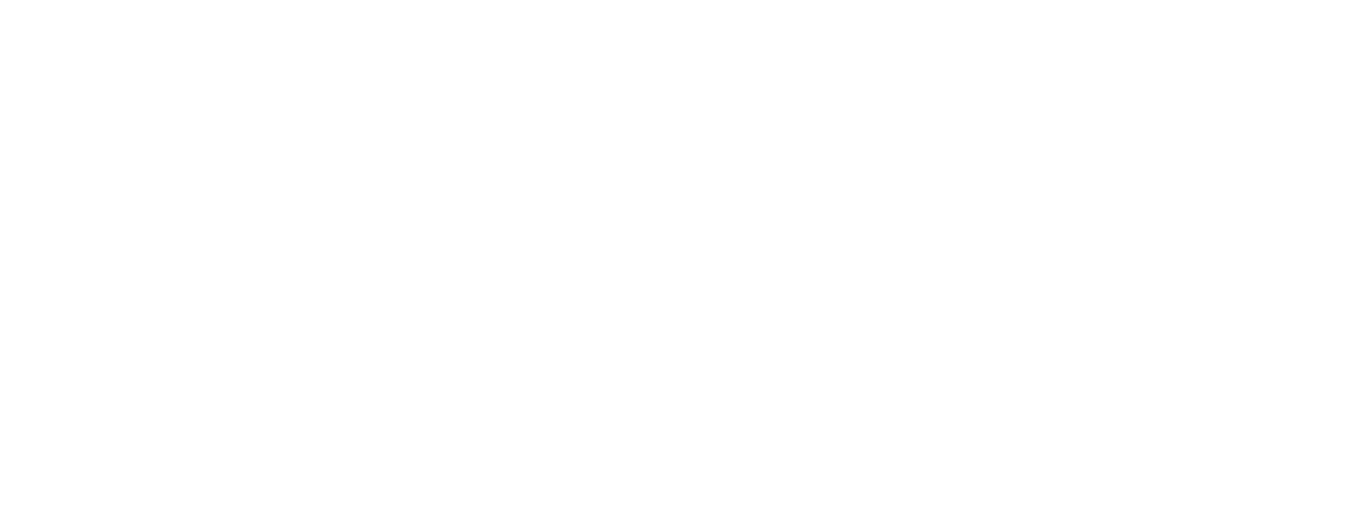 صحيفة جسر